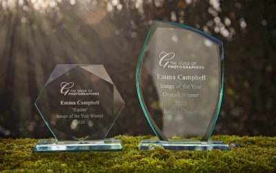Emma Campbell Image of the Year winner – Guild of Photographers
