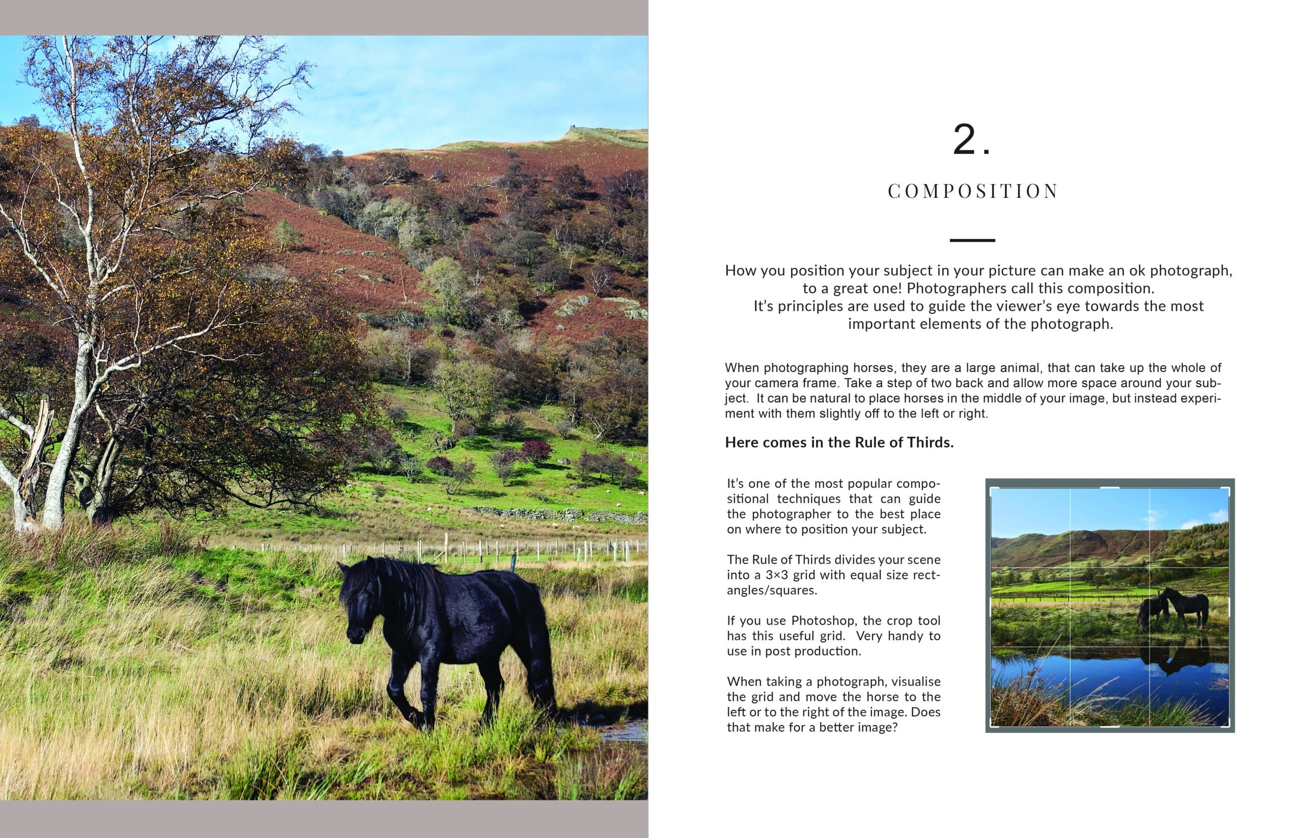 You guide to creating great equine photographs