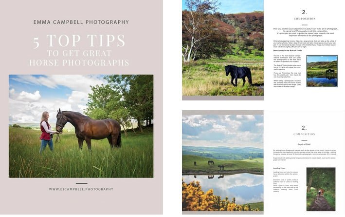 Top 5 tips for Capturing your horse on camera or phone!