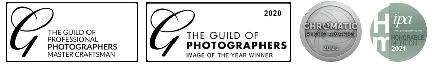 Emma Campbell Award Winning Equine Photographer