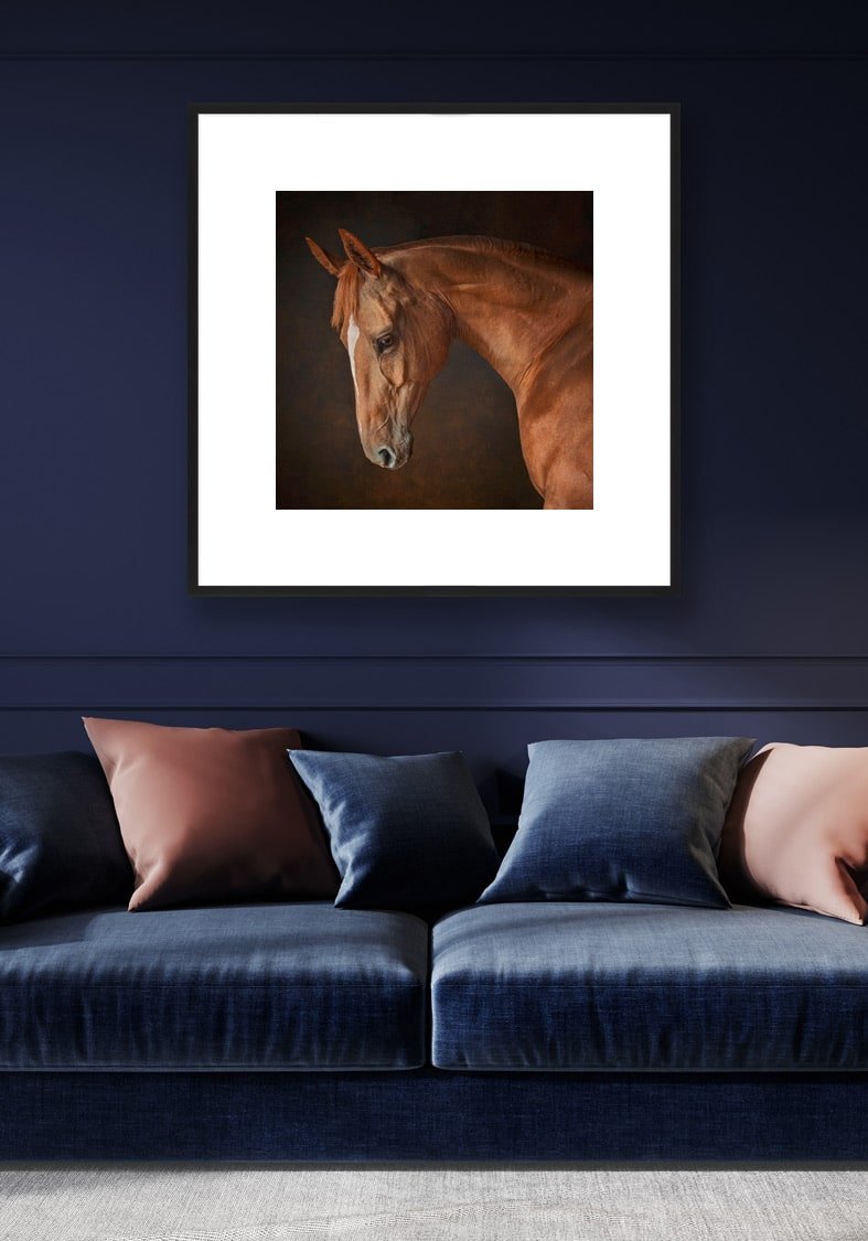 Fine art horse portarait wall art for your home